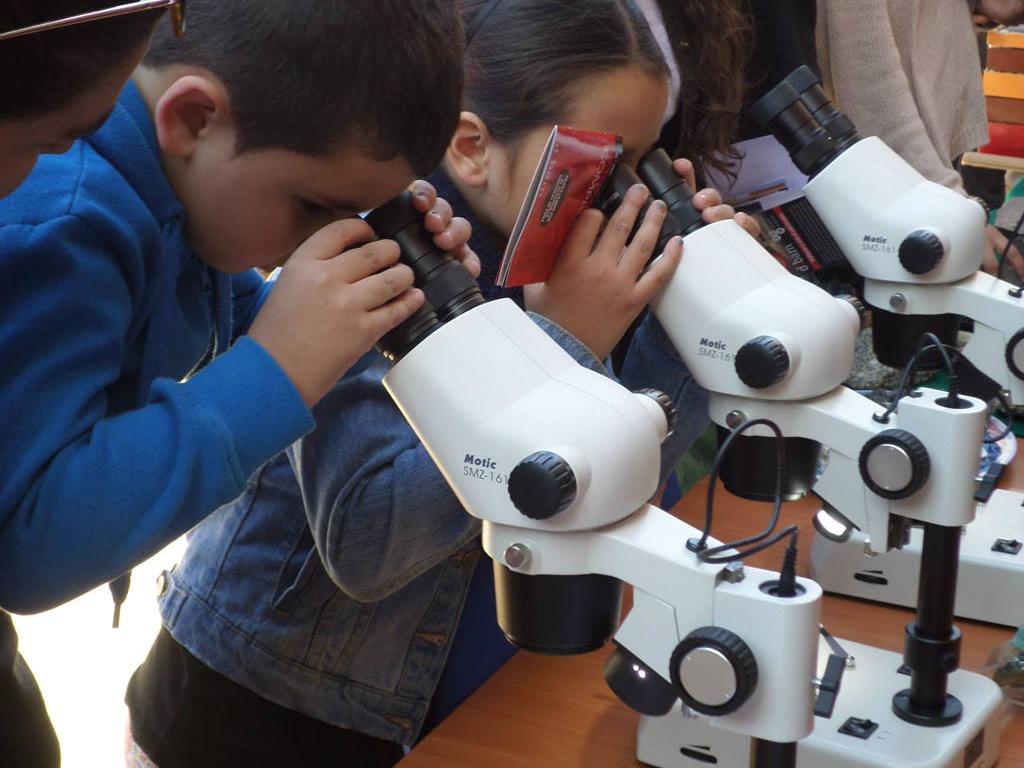 Observación de muestras minerales