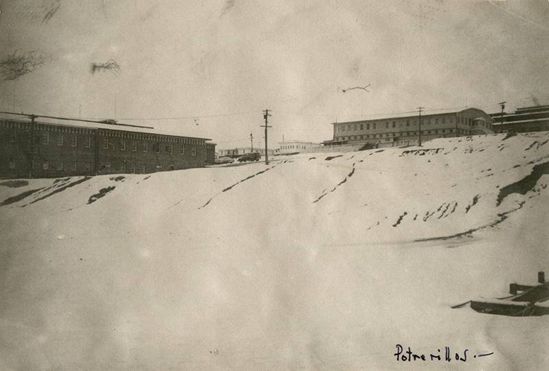 Potrerillos en invierno