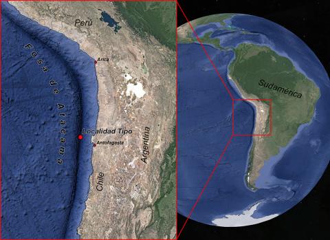Figura 2: Ubicación de la Fosa de Atacama y de la localidad tipo donde se colectó el holotipo hembra (MNHNCL AMP-15816).